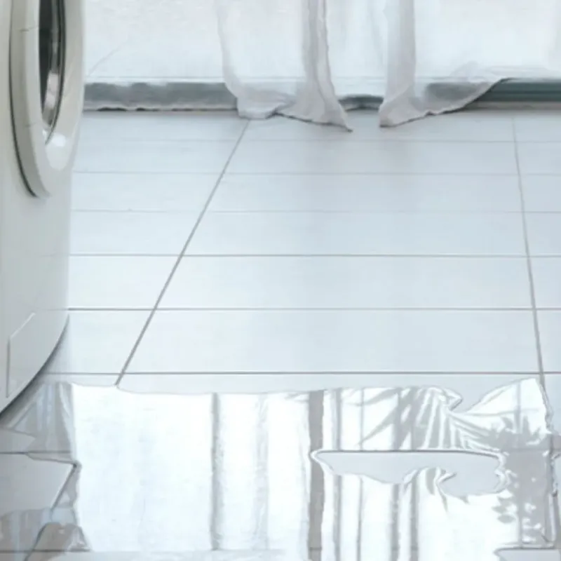 Appliance Leak Cleanup in Richmond, CA
